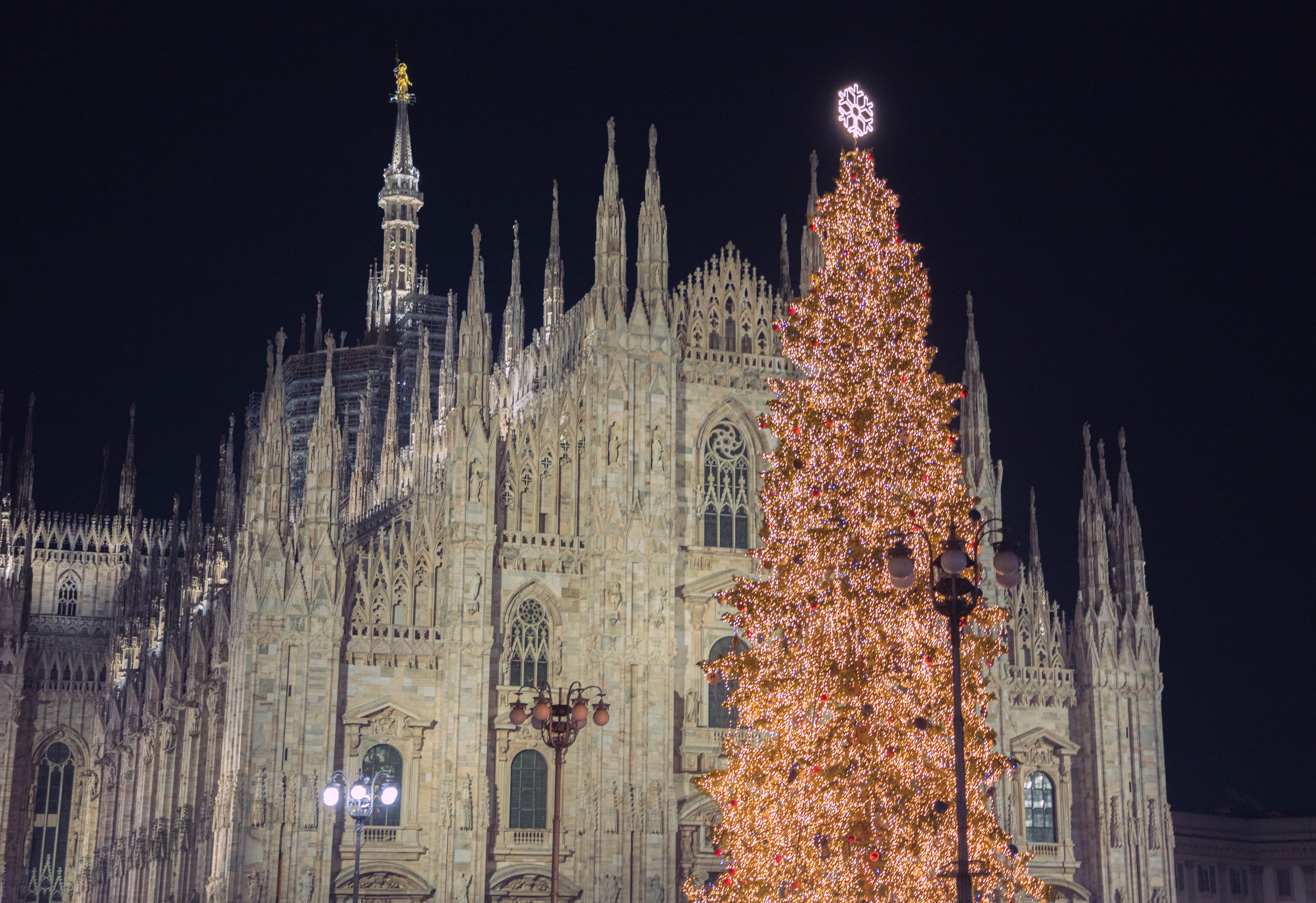 Foto del Duomo di Milano e dell'albero di Natale illuminato